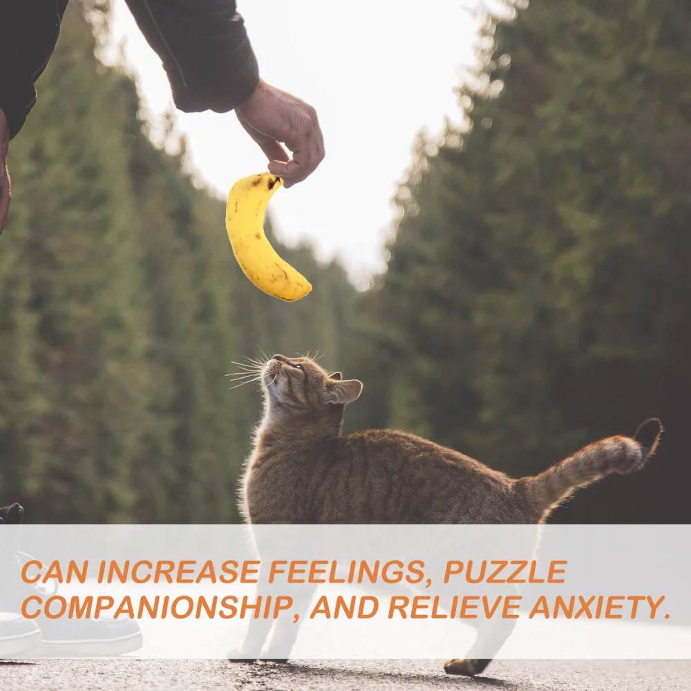 

12pcs Cartoon Food Shaped Catnip Cat Molar Plush Catnip Chew