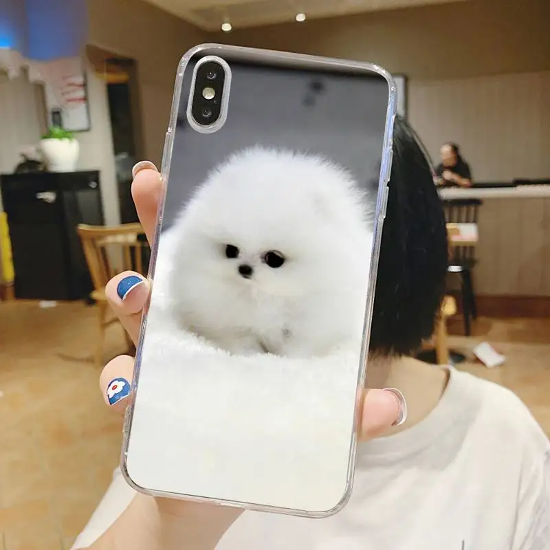 

Hiromi Phone Case Transparent soft For iphone 5 6 7 8 11 12 s c se plus mini x xs xr pro max shell