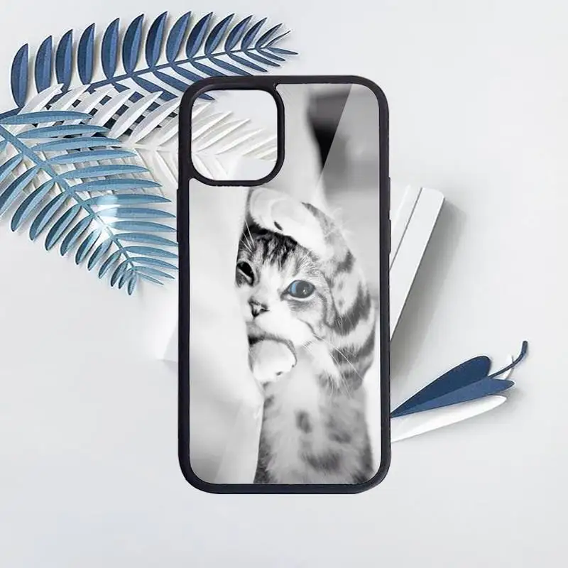 

Funny Kitten Cat Phone Case for iPhone 11 12 pro XS MAX 8 7 6 6S Plus X 5S SE 2020 XR Hard PC