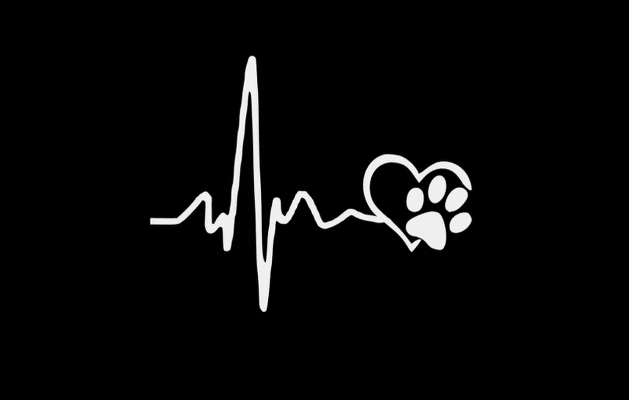 10 см * 13 сердцебиение Lifeline Paw печать забавная виниловая наклейка стикер