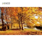 Laeacco желтый лес кленовые деревья листья река парк фотографии фоны осенний фон природный пейзаж фотозона реквизит
