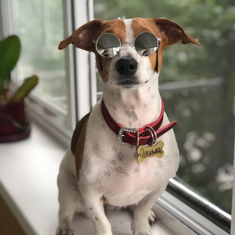 Золотая оправа мини солнцезащитные очки Игрушки Для домашних кошек и Собак