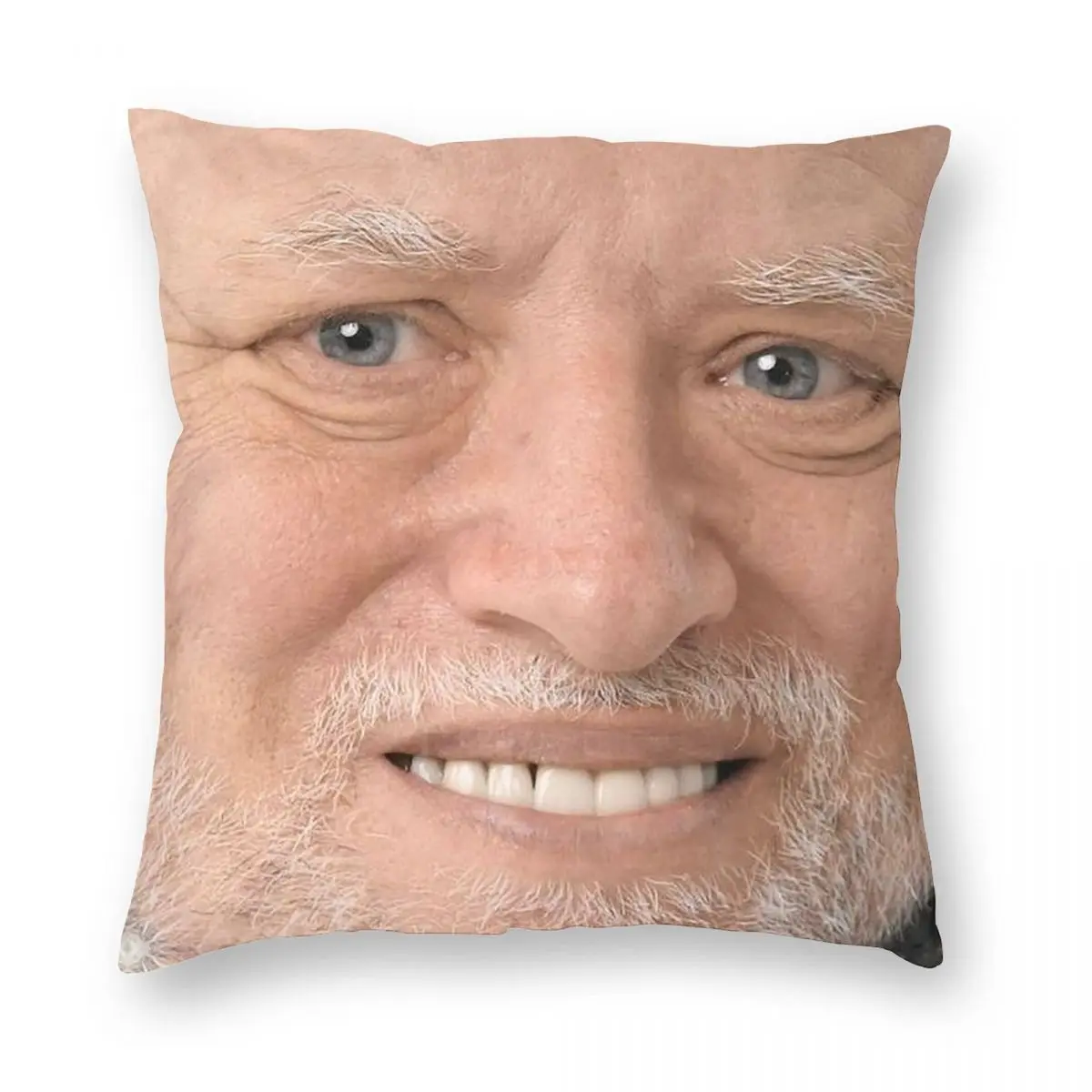 

Hide The Pain Harold High Definition Square Pillowcase Polyester Linen Velvet Zip Decor Throw Pillow Case Car Cushion Cover