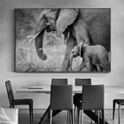 Черно-белый слон и Детская фотография фото стены Декор для спальни
