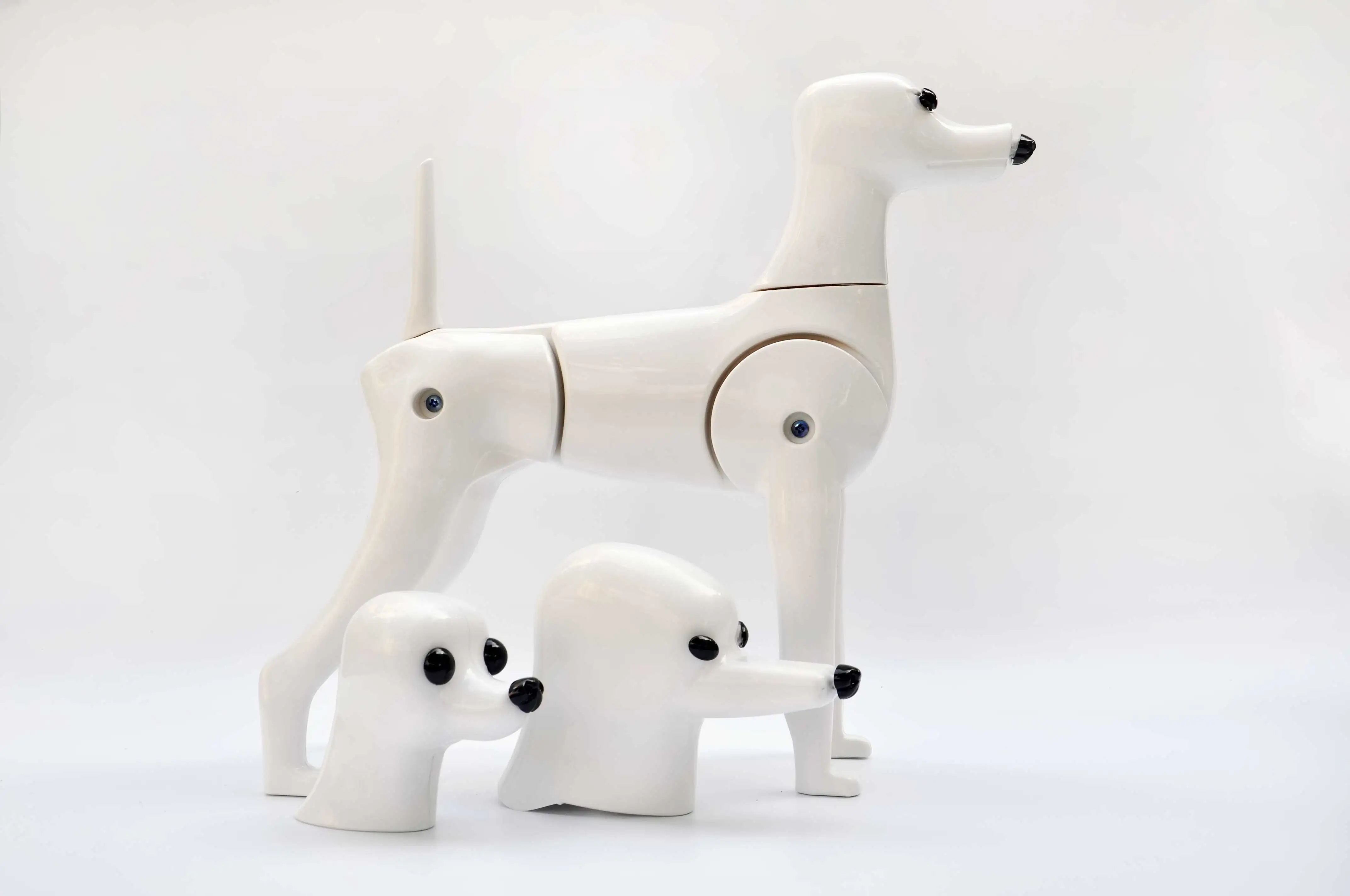 Multifunction Grooming Model Dog Mannequin Display Plastic Skeleton For Pet Groomer 1 Body 3 changeable Head | Дом и сад