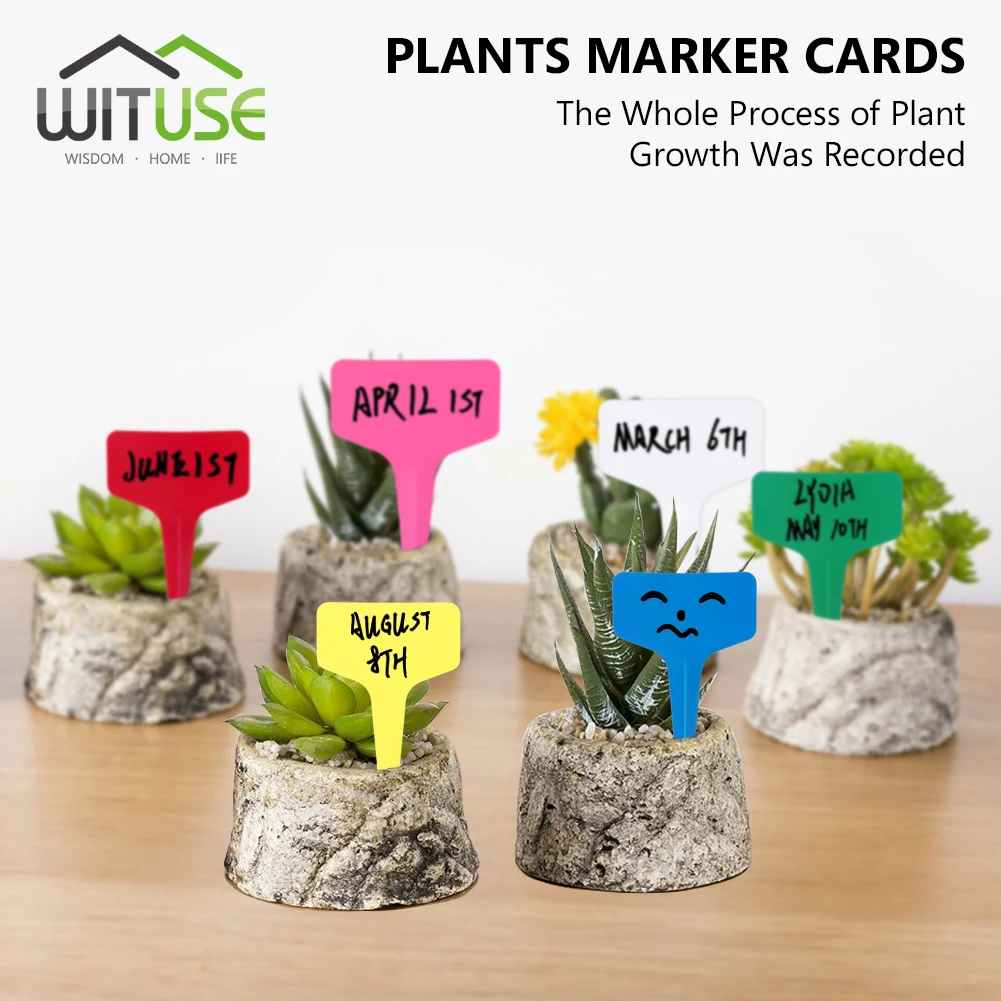 

50pcs 10x2cm/6x10cm I/T Shape Plastic Plant Tags Markers Nursery Garden Decoration Tags for Garden Plants Decor Gardening Labels