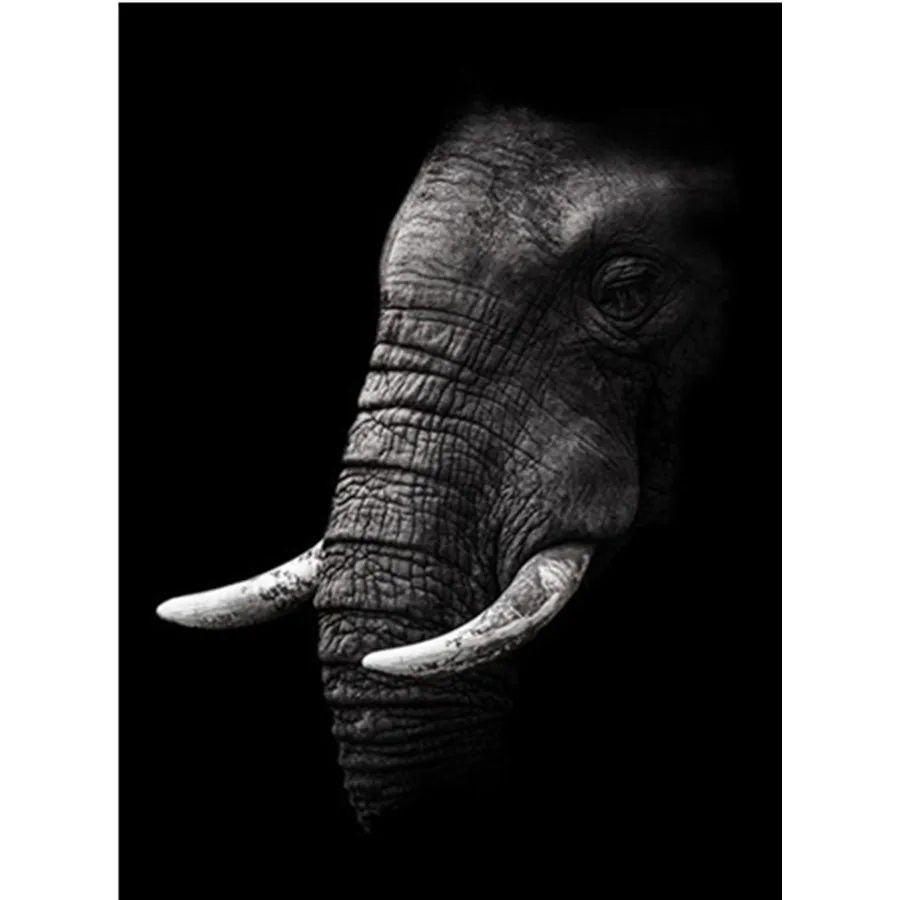 

Black White Diamond Painting Full Square Drill Cross Stitch Animal Diamond Embroidery Sale Mosaic Crafts Kit