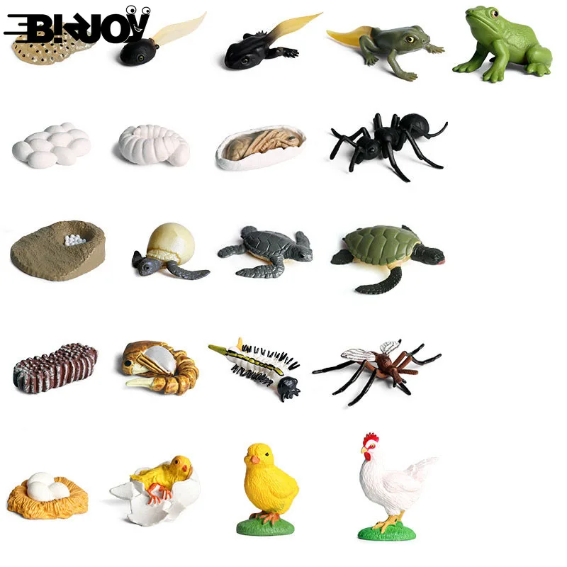 

Набор миниатюрных реалистичных моделей для выращивания животных, муравьиная черепаха, петух, Москитная лягушка, образовательные игрушки д...