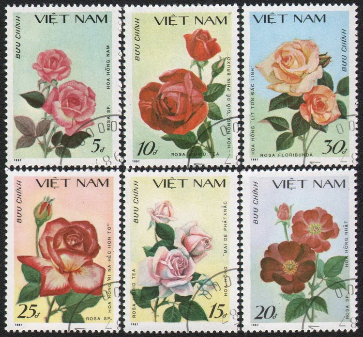

6Pcs/Set Vietnam Post Stamps 1987 Rose Flowers Used Post Marked Postage Stamps for Collecting