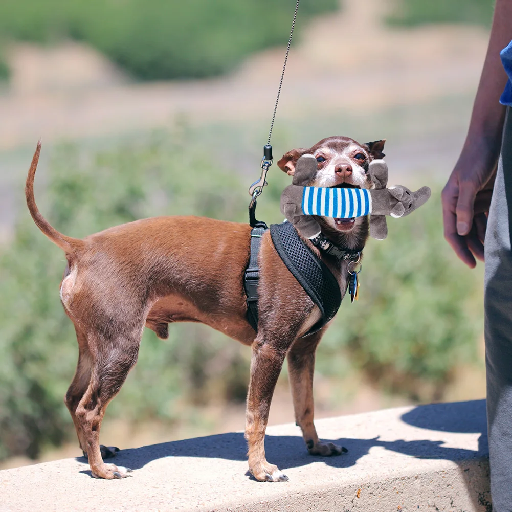 Игрушка для домашних животных моляр хлопковая веревка устойчивая к укусам