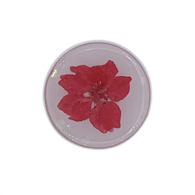 

Planet Floral Real Flower Epoxy Flower Airbag Bracket Bracket Safe Extension Mobile Phone Holder Suitable for iPhone11