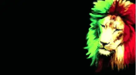 

3x5ft Special Colorful lion flag with 2 grommets