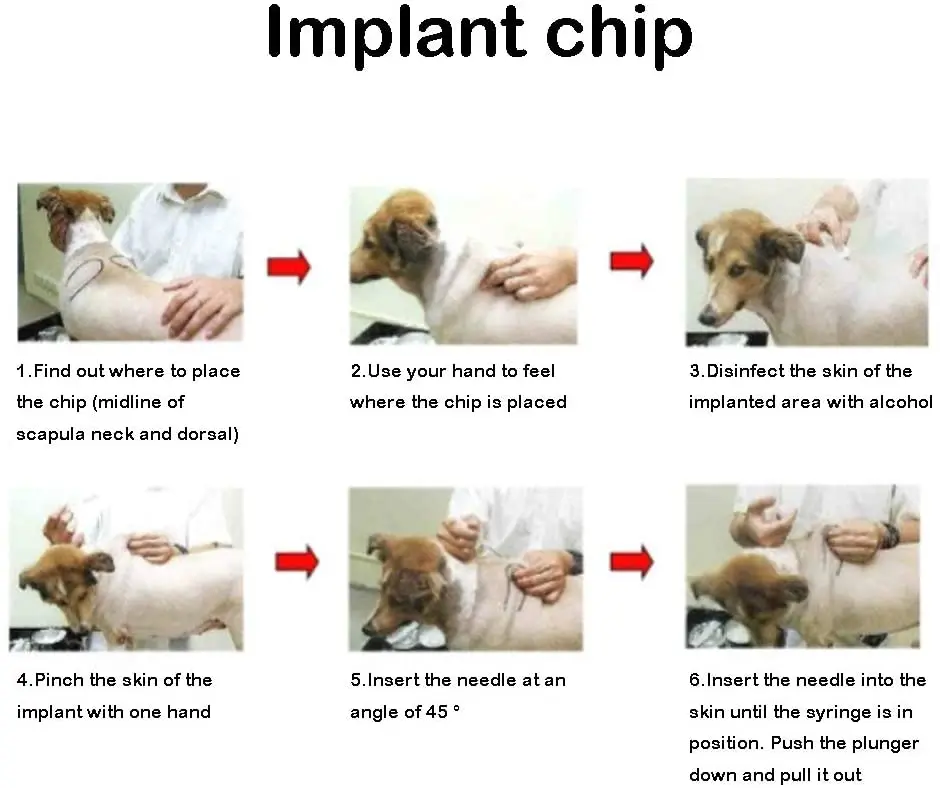 10pcs Animal ID Glass Tags Subcutaneously Implanted RFID Micro Chip ICAR Certification ISO11784/11785 for Pet Cat Dog Animals |