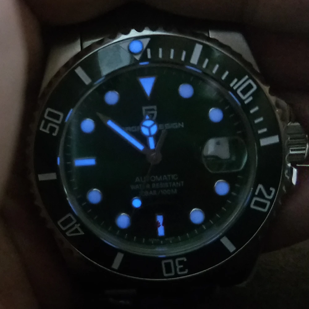 

PAGANI DESIGN Fashion Brand Watch Creative Luxury Men Automatic Mechanical Luminous Leisure Calendar Waterproof Watches 1639