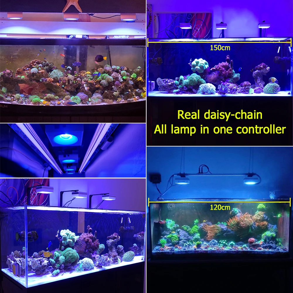 PopBloom-L&aacute;mpara de luz para acuario, iluminaci&oacute;n para pecera, Arrecife de Coral, cultivo de agua de mar, marino, l&aacute;mpara Turing RS90-5