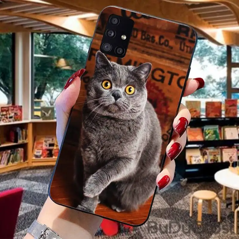 

British shorthair cat Phone Case for Samsung A91 01 10S 11 20 21 31 40 50 70 71 80 A2 CORE A10