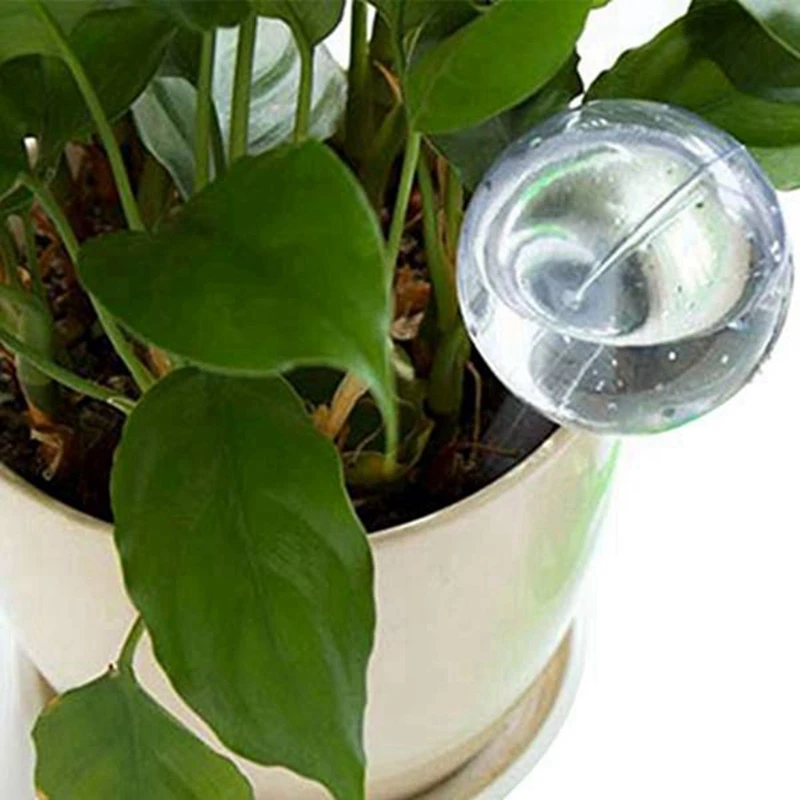 5 Pcs Automatic Watering Device Globes Vacation Houseplant Plant Pot Bulbs Garden Waterer Flower Water Drip | Дом и сад
