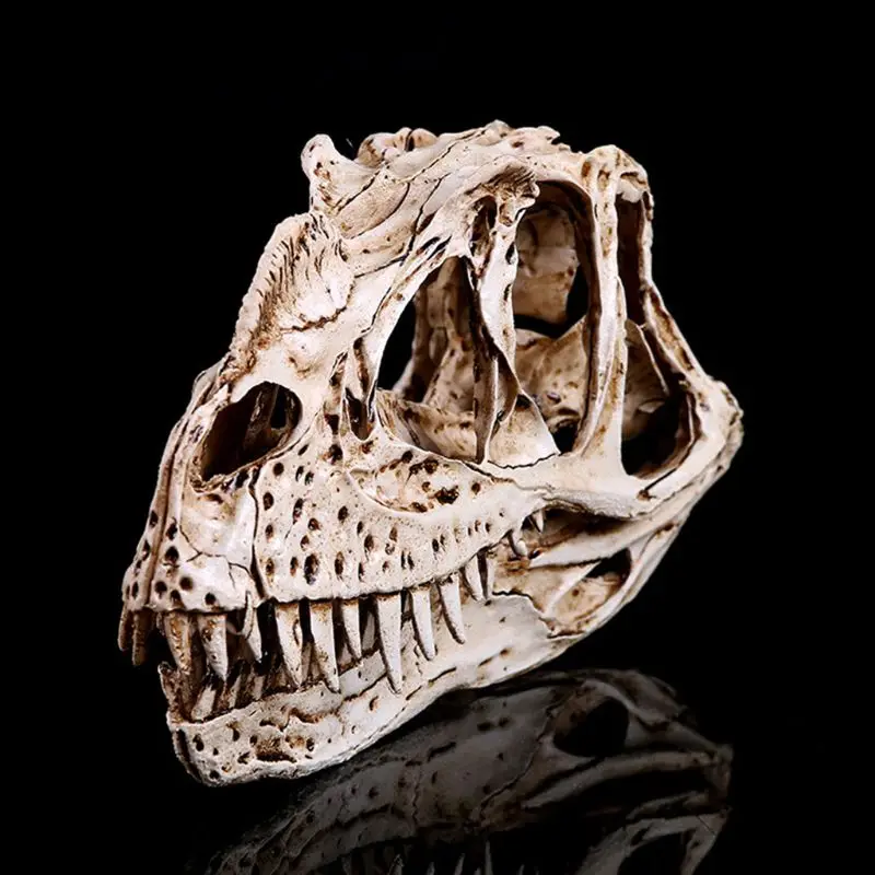 

Ceratosaurus Dinosaur Skull Resin Crafts Fossil Skeleton Teaching Model Halloween Home Office Decoration G92E
