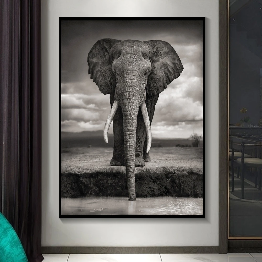 Современный скандинавский Африканский высокий слон черно белый животный