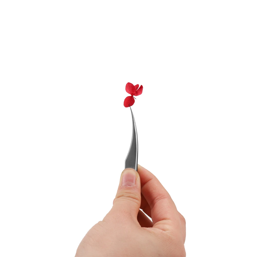 

1Box Dried Flowers Dry Plants for Rsein Molds Fillings Epoxy Resin Pendant Necklace Jewelry Making Craft DIY Nail Art Decoration