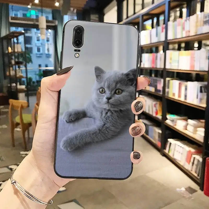 

British shorthair cat Phone Case For Huawei Y5 Y6 II Y7 Y9 PRIME 2018 2019 NOVA3E P20 PRO P10 Honor 10