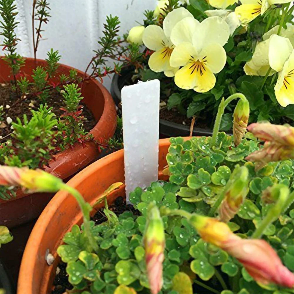 

100 Pcs Horticultural Label Insertion Board Plastic 10cm x 2cm Greenhouse Flowerpot Sorting Tools Gardening Supplies