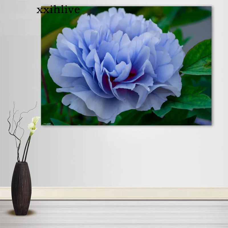 

Custom Floral Peony Flower Botanical Silk Cloth Canvas Poster Home Decoration Wall Art Fabric Poster Print More Size 40x60cm