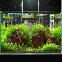 aquarium landscaping light fish tank rgb decorative light led light plug