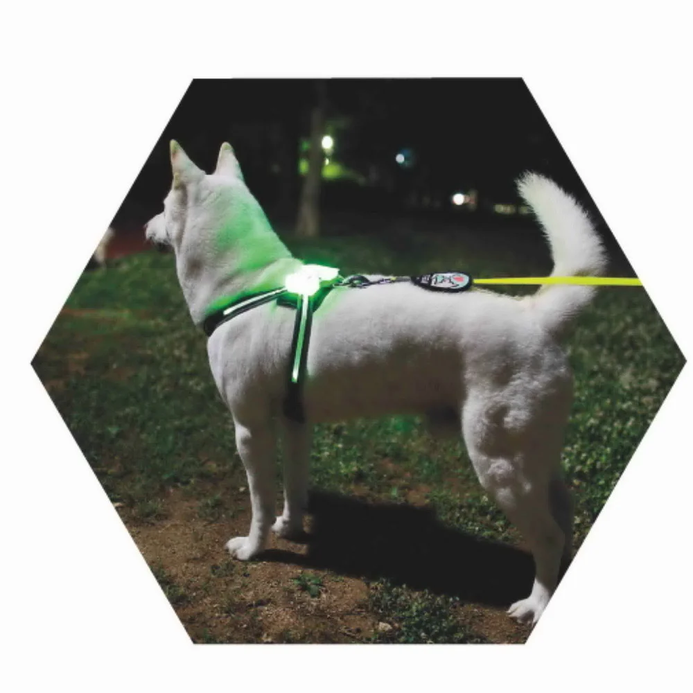 

CC Simon горячая Распродажа светодиодная мигающая собачья шлейка для домашних животных usb перезаряжаемая