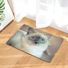 Коврик для входной двери, современный резиновый ковер для улицы, милый кот, для дома, ванной, кухни, нескользящий, защита от пыли