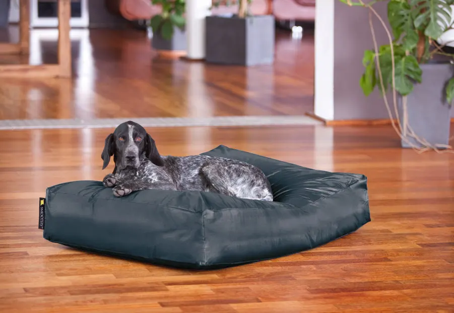 Красочные кровати для собак горячая Распродажа Лежанка домашних животных