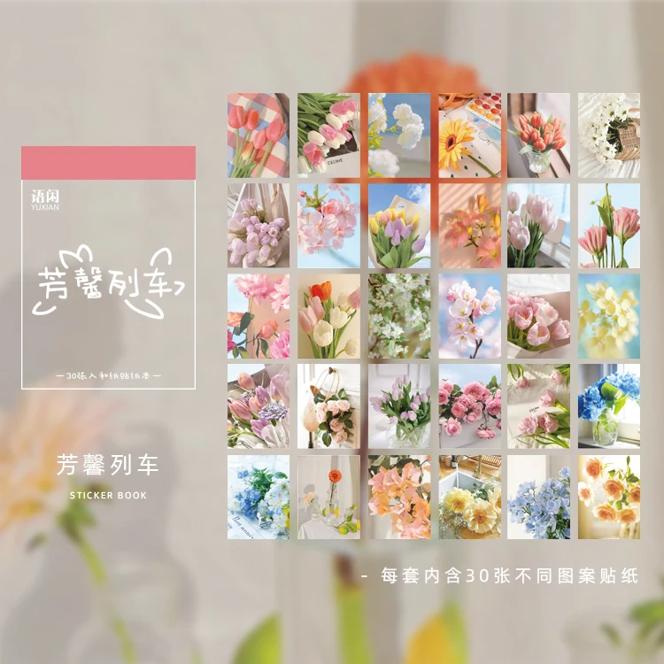 

Канцелярские наклейки Amengguo 30 шт., серия звездных фрагментов