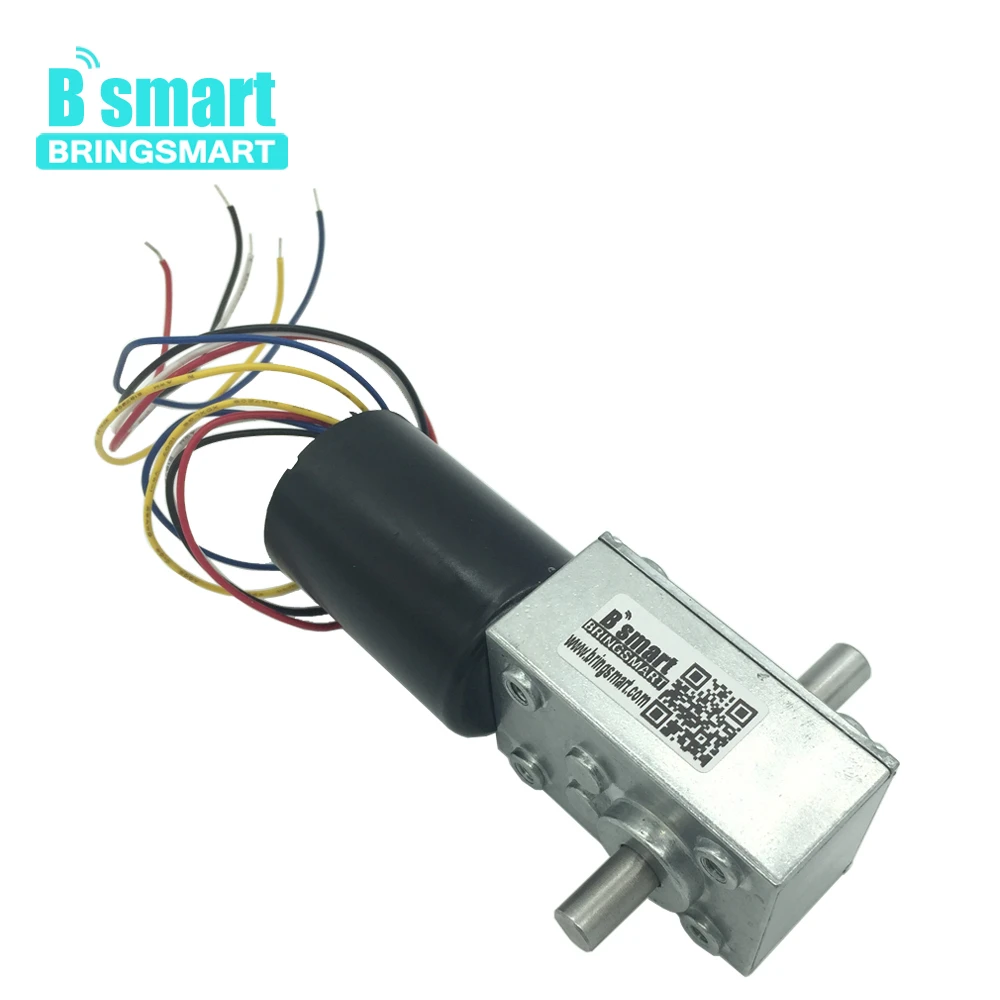 BringSmart BLDC мотор высшего качества 5840 3650 24v бесщеточный Dc червячный редуктор 12 v