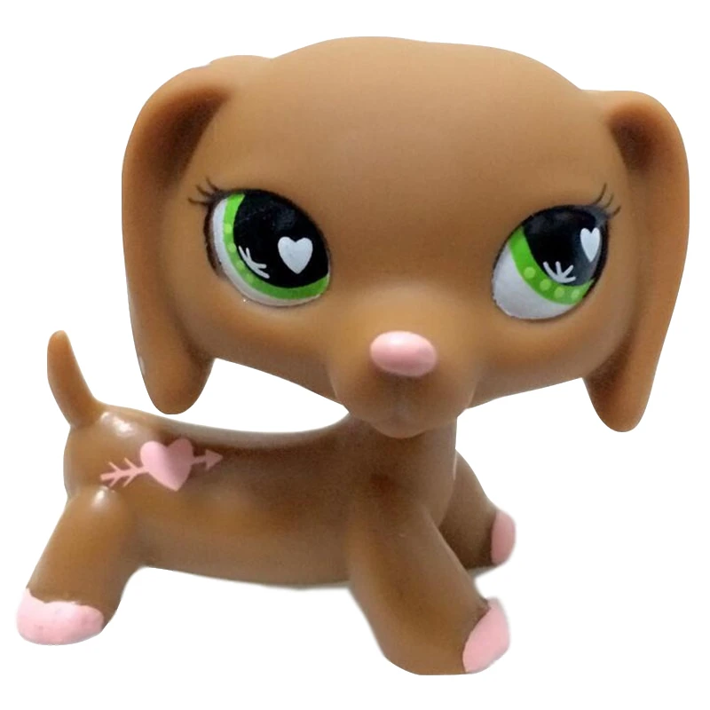 Старый магазин домашних животных милые игрушки маленький котенок с короткими