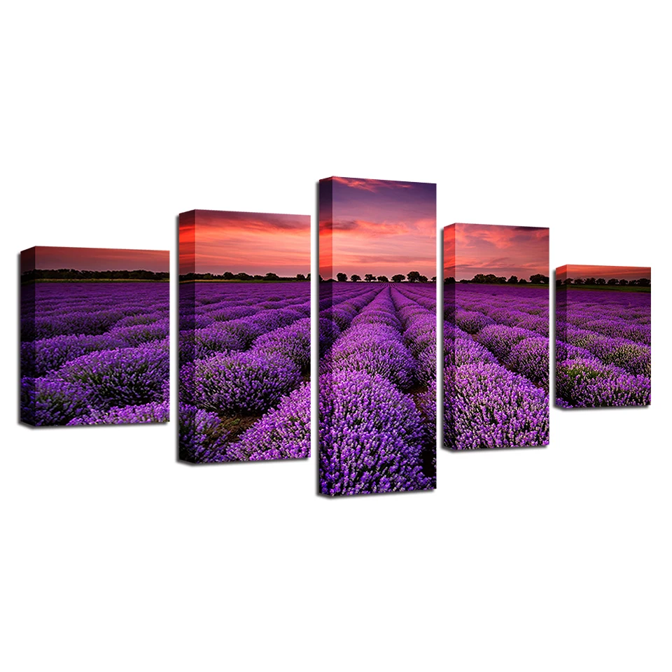 Холст HD Печать постер Декор для дома рамка 5 шт. фиолетовые Лавандовые поля закат
