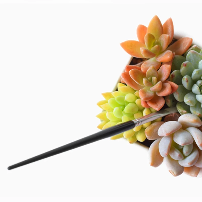 

Succulent Plants Tools Mini Garden Hand Tools Set Transplanting Tools Miniature Planting Gardening Tool Set for Indoor Miniature