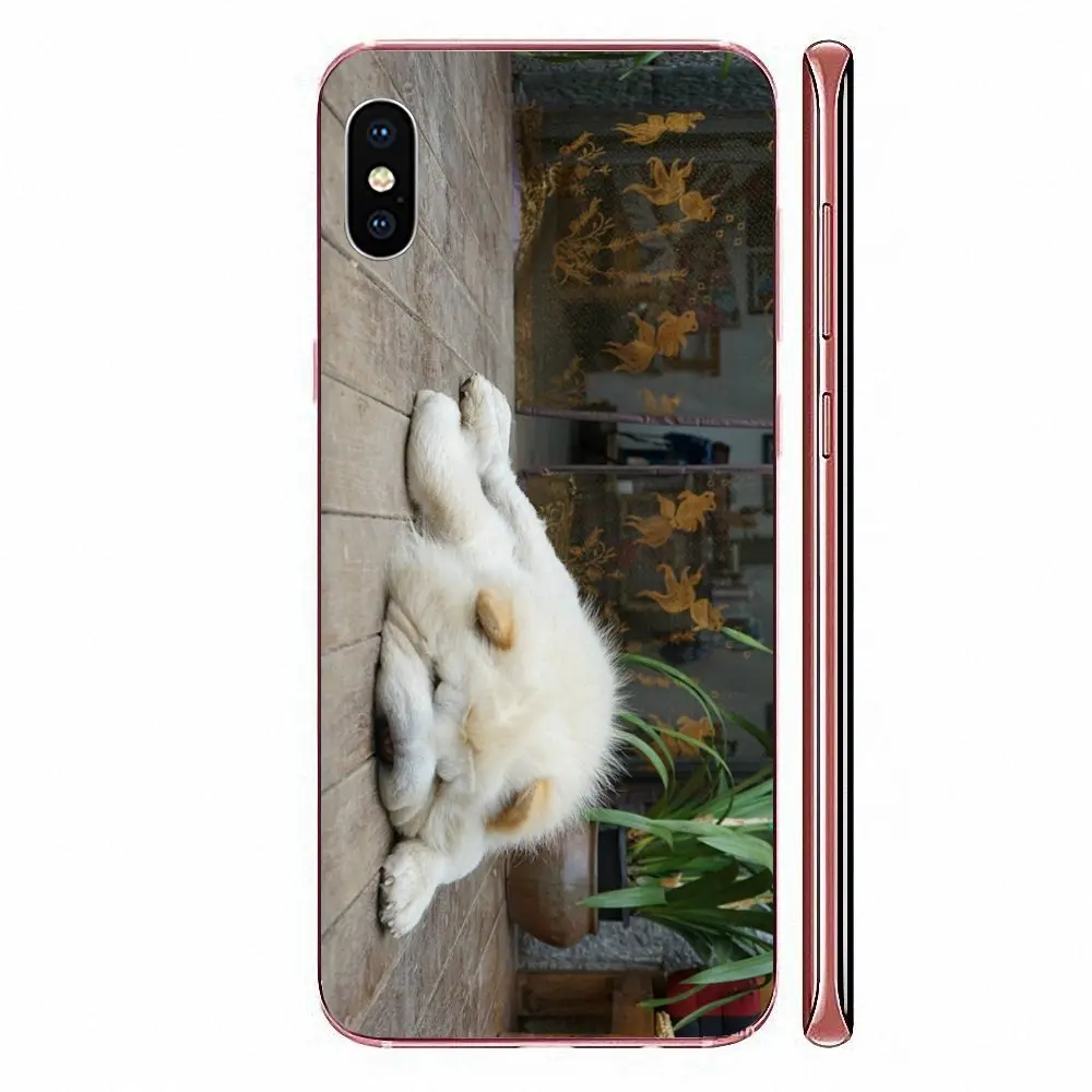 Милый чехол для телефона мопса квадраты Motorola G G2 G3 G4 G5 G6 G7 Plus Xiaomi Redmi Note 8 8A 8T 10 K30 Pro
