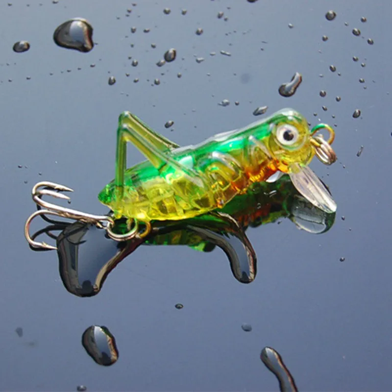 5 Pcs Luminous Fishing Lure Artificial Locust Grasshopper Lures Insect Shape Hard Bait Set In Tackle |