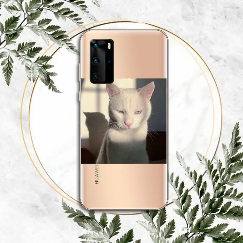 

Cute Cats lovely Phone Case Transparent for huawei P 40 30 20 lite pro smart 2019 honor 8X 10i 10 cover