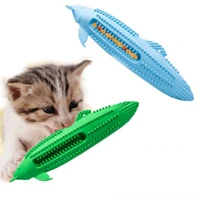 healthy safe cats interact toothbrush chew toy kitty puppy snack toys kitten teeth %e2%80%a8cleaning care catnip pet supplies