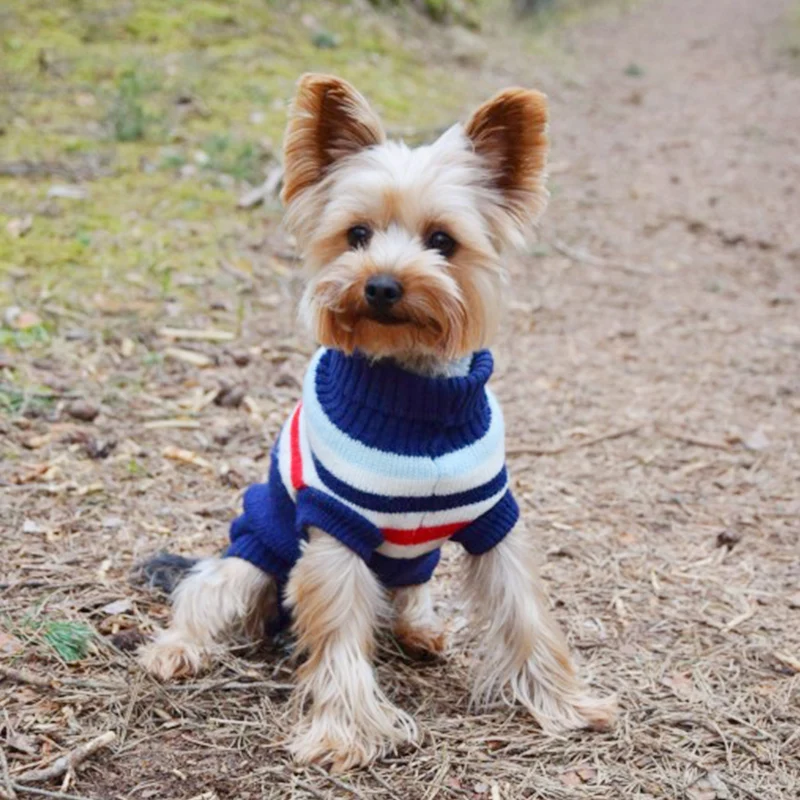 Рождественская Одежда для собак зимняя женская одежда толстовка с капюшоном