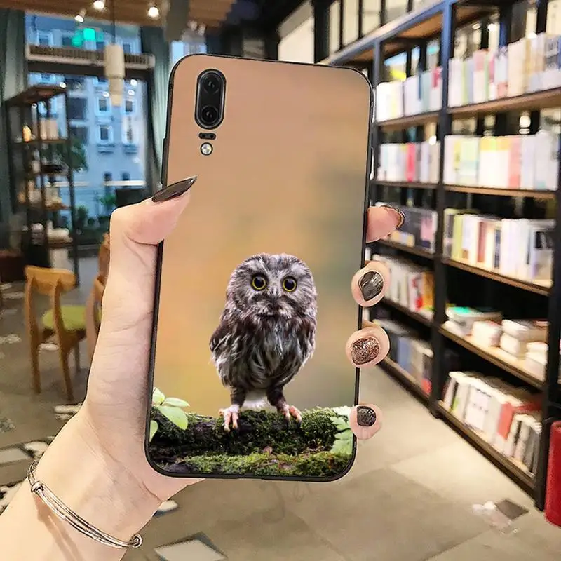 

Cartoon owl animal high quality Phone Case For Huawei honor Mate P 10 20 30 40 Pro 10i 9 10 20 8 x Lite