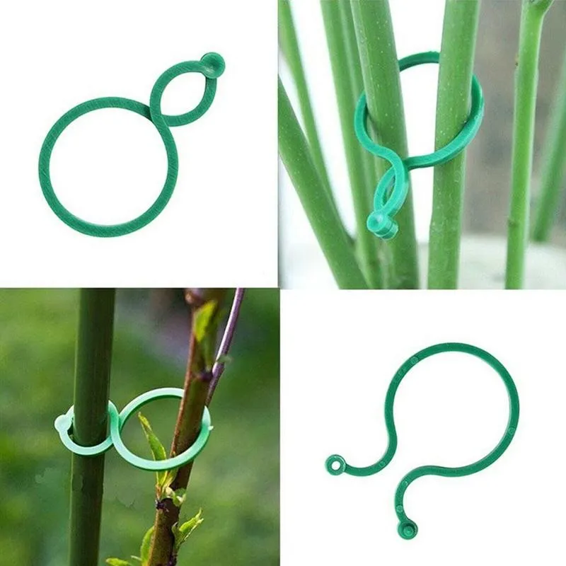 

50/100pcs Rattan Clip Gardening 8-shaped Buckle Ring Plant Flower Plant Ring Tomato Gourd Support Stem Upright Growing Tool U9F9