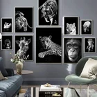 Холщовый постер с изображением животных, настенная живопись черно-белого цвета, тигр, обезьяна, декор для стен, комнатное украшение, в эстетике, без рамки