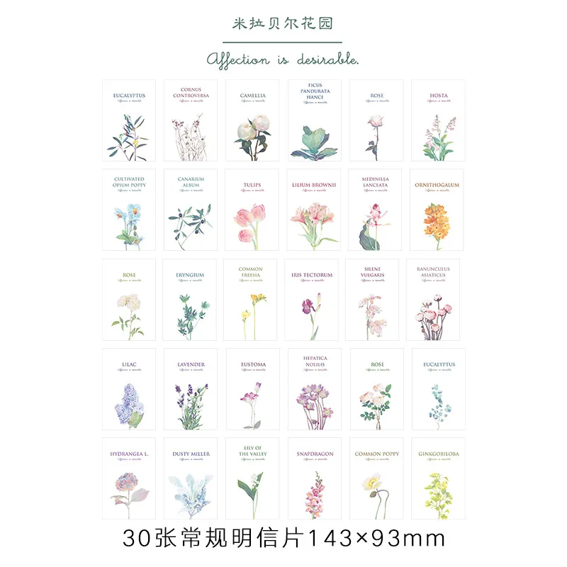 

30pcs/box Flower garden Whale Postcard for Birthday Present Creative Stationery Writing Greeting Gift Postcard CL2555