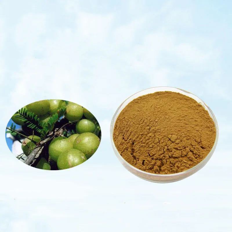 

Pure Natural Phyllanthus Emblica Extract Powder 10: 1, Emblica extract, Indian gooseberry
