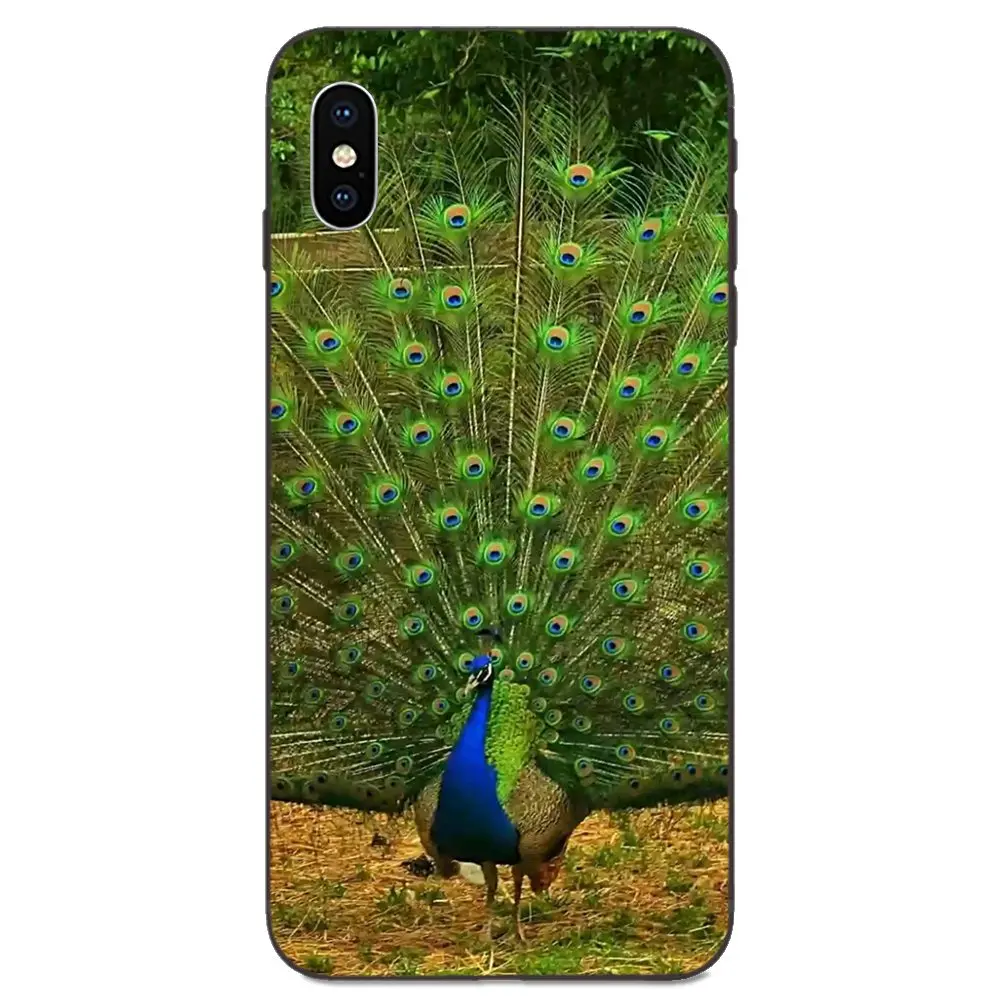 Красивый павлин пейзаж чехол для телефона из мягкого ТПУ с рисунком Капа Galaxy A3 A5 A6