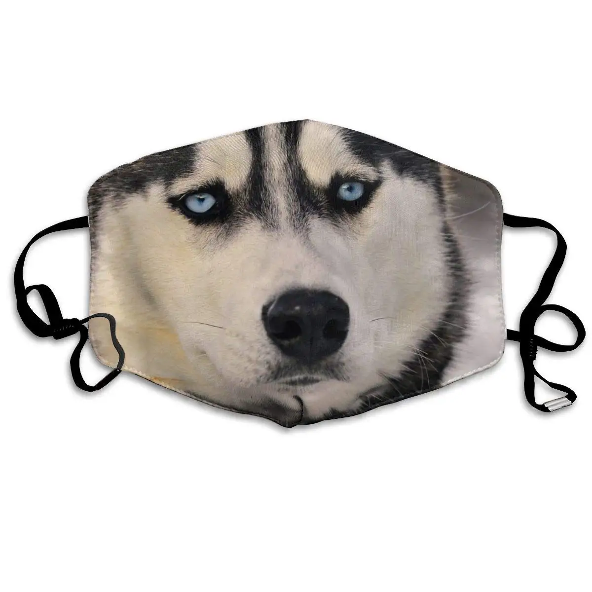 

Siberian Husky Mask Women Men Teens Washable Reusable Face Masks with Elastic Earloop Anti Dust Pollution Protection Mouth Mask