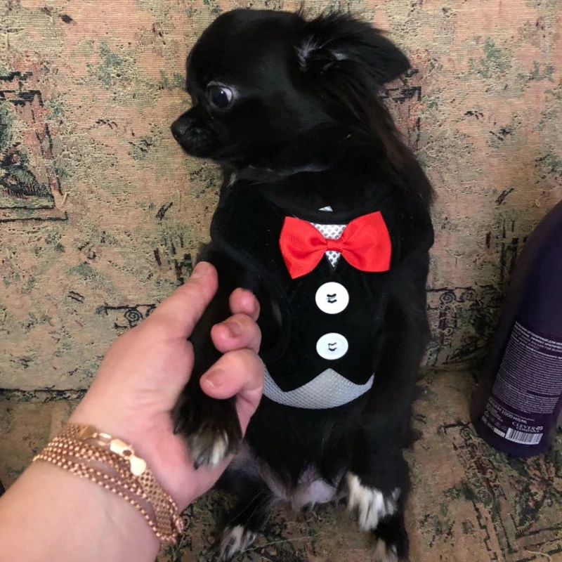 Жилетка для собак питомец поводок набор маленьких средних галстук бабочка