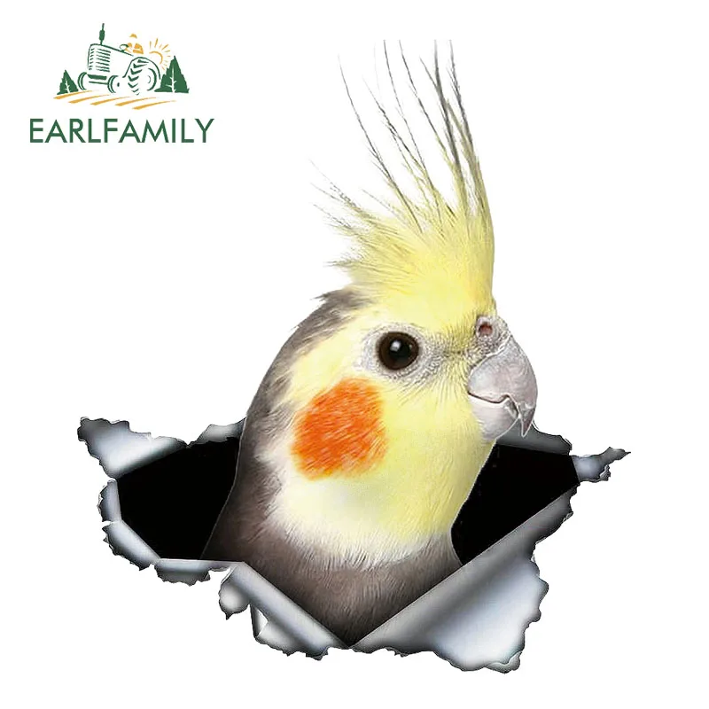 EARLFAMILY 13 см x 11 3 СМ фотоальбом милая птица автомобильная наклейка Солнцезащитная